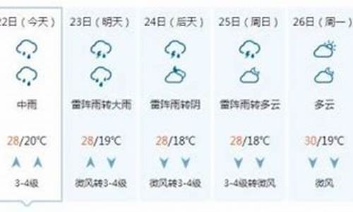 山东聊城一周天气预报7天查询结果是什么_聊城一周天气预报查询一周最新