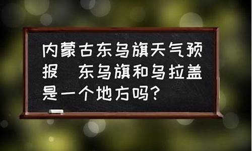 东乌旗天气预报时刻表_东乌旗天气预报30天查询