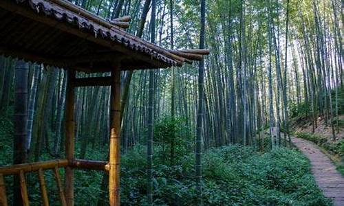 宜宾蜀南竹海天气预报_宜宾蜀南竹海天气预报七天