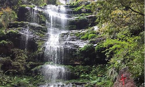 雅安碧峰峡旅游攻略一日游_雅安碧峰峡旅游攻略一日游图片