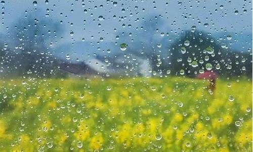 明天唐山天气预报几点下雨_明天唐山几点下雨