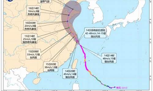 2022年台风列表_2022年台风名称表