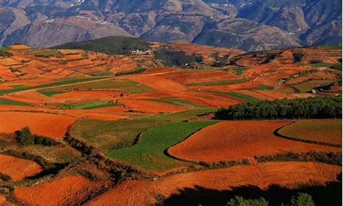 云南东川红土地天气预报_东川红土地温度