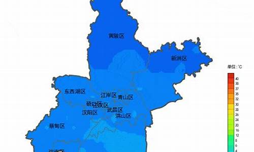 新洲区天气预报15天查询免费_新洲区天气预报15天查询