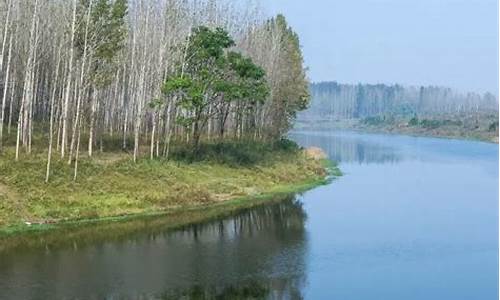 郸城天气预报30天查询郸城县最新天气预报_郸城天气预报郸城县天气预报