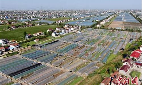 江苏南通通州天气_江苏南通通州天气预报15天查询